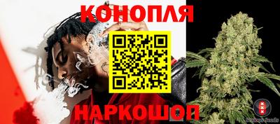 наркотики Малгобек