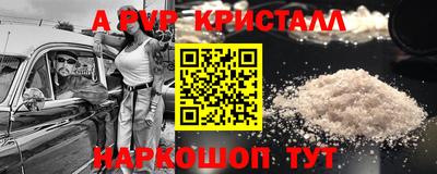 СК Можга