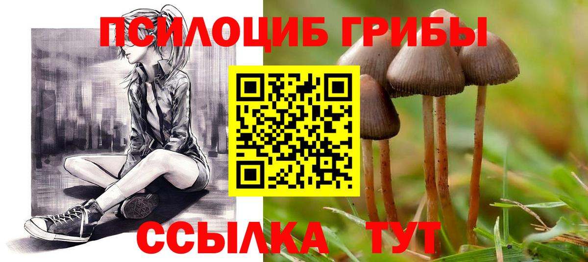 Галлюциногенные грибы мухоморы  Галлюциногенные грибы GOLDEN TEACHER  Вход с VPN  Ялуторовск 